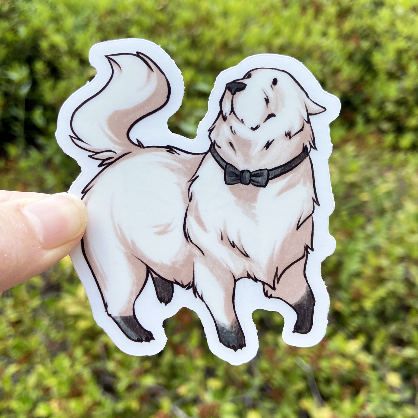 Bond Clear Sticker